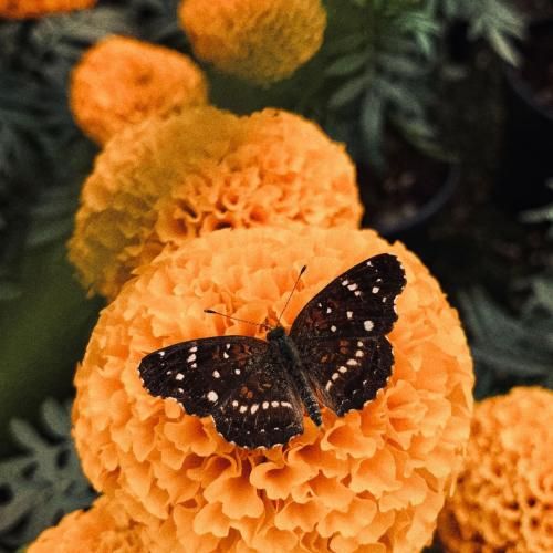 دانلود آهنگ این سوز زمستون تمومی نداره واسه من