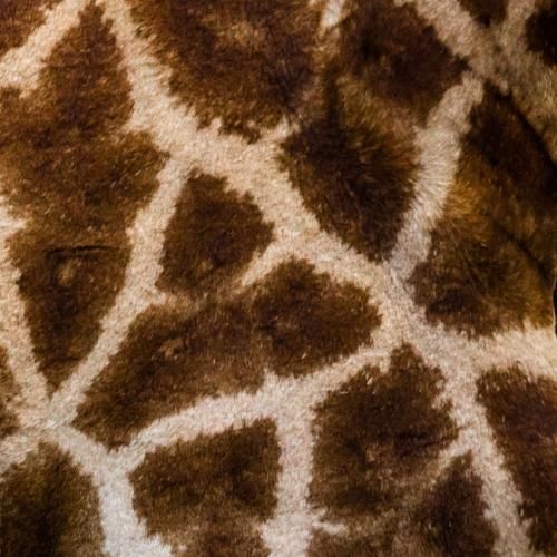 دانلود آهنگ یادمه هنوز دادا بعد سه سال از کشوری میخونم