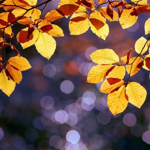 دانلود آهنگ با لباس عزا مادر میرقصید کنار مزار