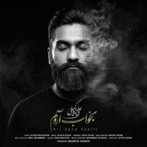 دانلود آهنگ بخواب آروم علی زندوکیلی