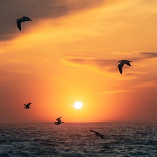 دانلود آهنگ خوشبحالم که دارم برم دبه کنم که رفیقام