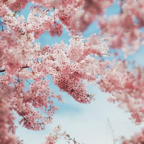 دانلود آهنگ کارد فرو نمیره تو قلب سنگی اهل جنگیم