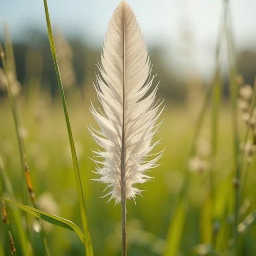 دانلود آهنگ قصه اونجا بامزه شد که از ما خسته شد