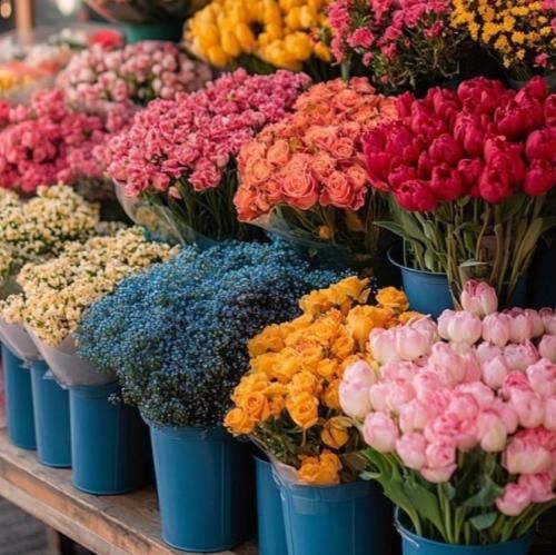 دانلود آهنگ ترکی پول ندارم شوهر ندارم بچه ندارم