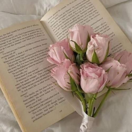 دانلود آهنگ ای دختری خدا زده نان پختن یاد نداری _ اینستا
