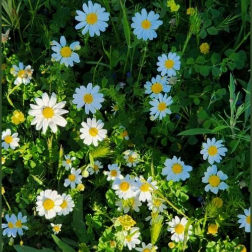 دانلود آهنگ ساعتی که بهم دادی دیگه کار نمیکنه ولی جدا نمیکنم