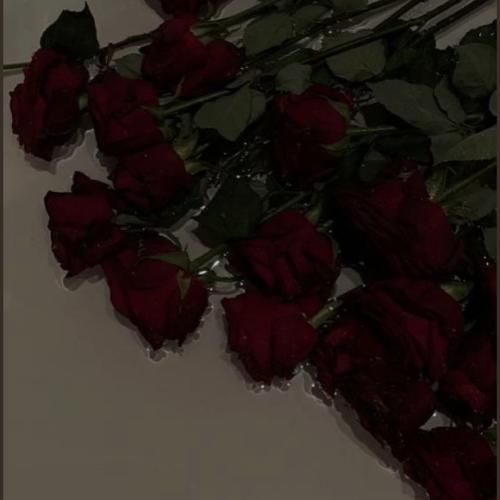 دانلود آهنگ هنوز اسمت تتوعه رو این تن خسته (میکس اینستا)