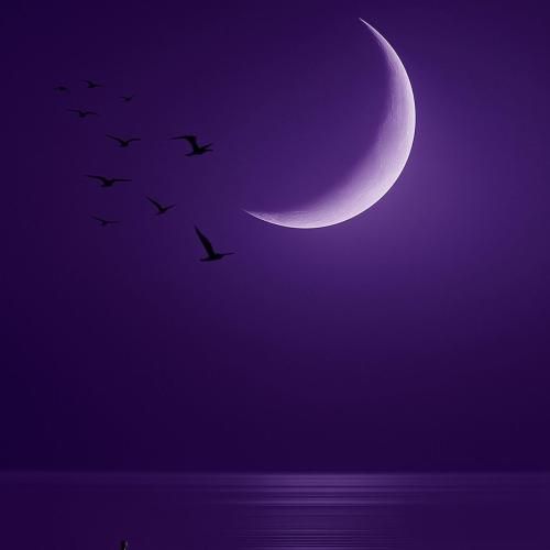 دانلود آهنگ بدون دلیل برو به خرید بخر لوازم لباس جدید (ترند اینستا)