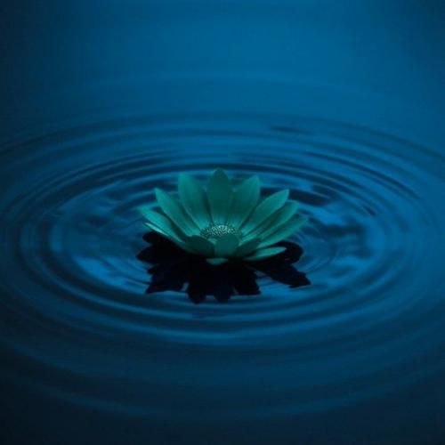 دانلود آهنگ دوست دارم یعنی چی باید برای هم معنی شیم