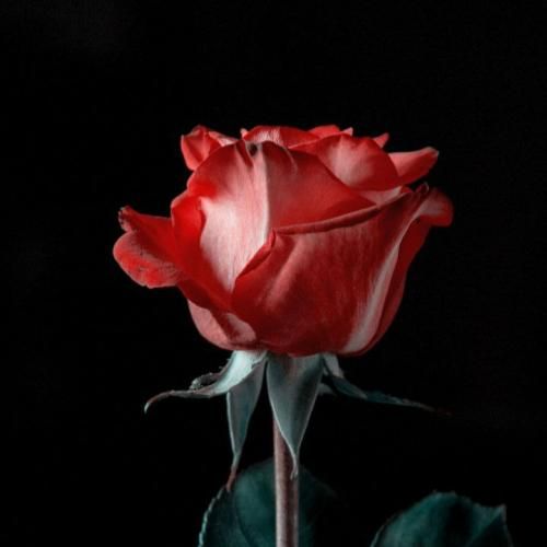 دانلود آهنگ آسمون فاطمه عطایی