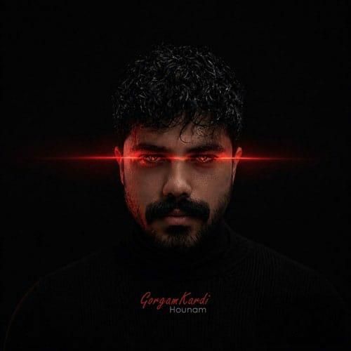 دانلود آهنگ گرگم کردی (تو منو گرگم کردی تو بزرگم کردی) هونام