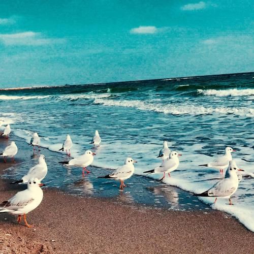 دانلود آهنگ روزی صدبار تو خودم میشم گم (میکس اینستا)