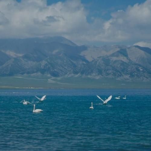 دانلود آهنگ از عالم و آدم سر تو حرف شنیدم با صدای دختر اینستایی