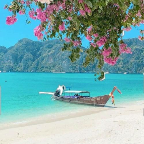 دانلود آهنگ تاسوعا میریم همه کربلا تاسوعا خوش میگذره (ترند اینستا)