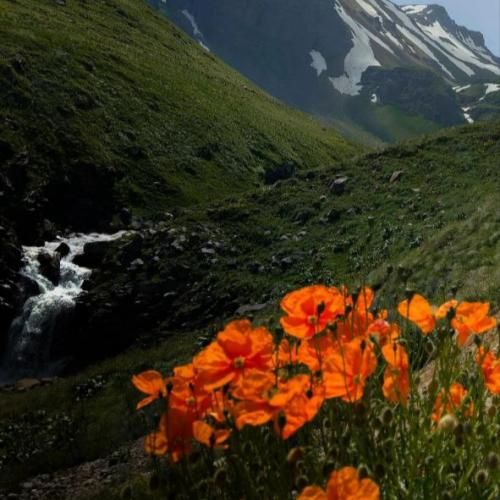 دانلود آهنگ بچزا خودم لاشی ترم از این حرفا