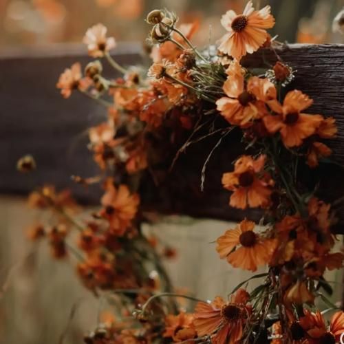 دانلود آهنگ تو گوشیم کردم سیوت بیبی با هم بودیم فیمس