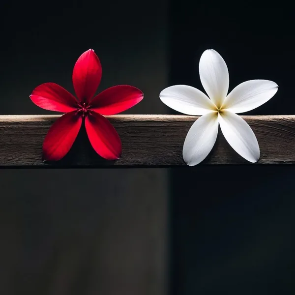دانلود آهنگ یکم جدا باشیم خوبه برا هم تو پیشت یکی دیگس