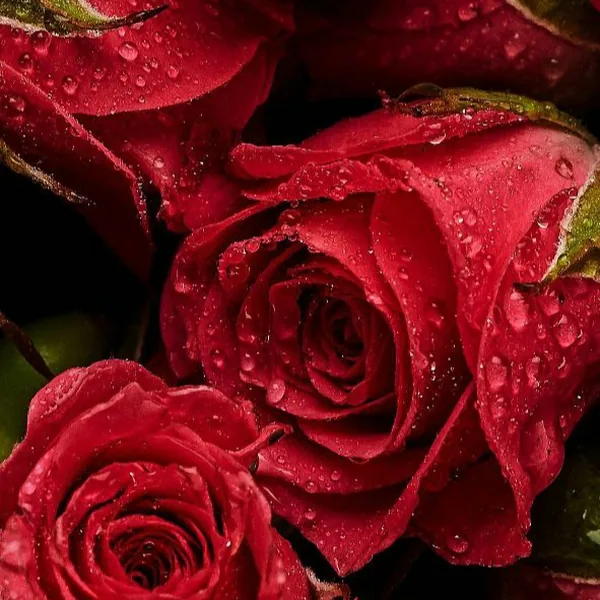 دانلود آهنگ ای دختر قلب منه هیچوقت براش بد نبین (ترند اینستا)